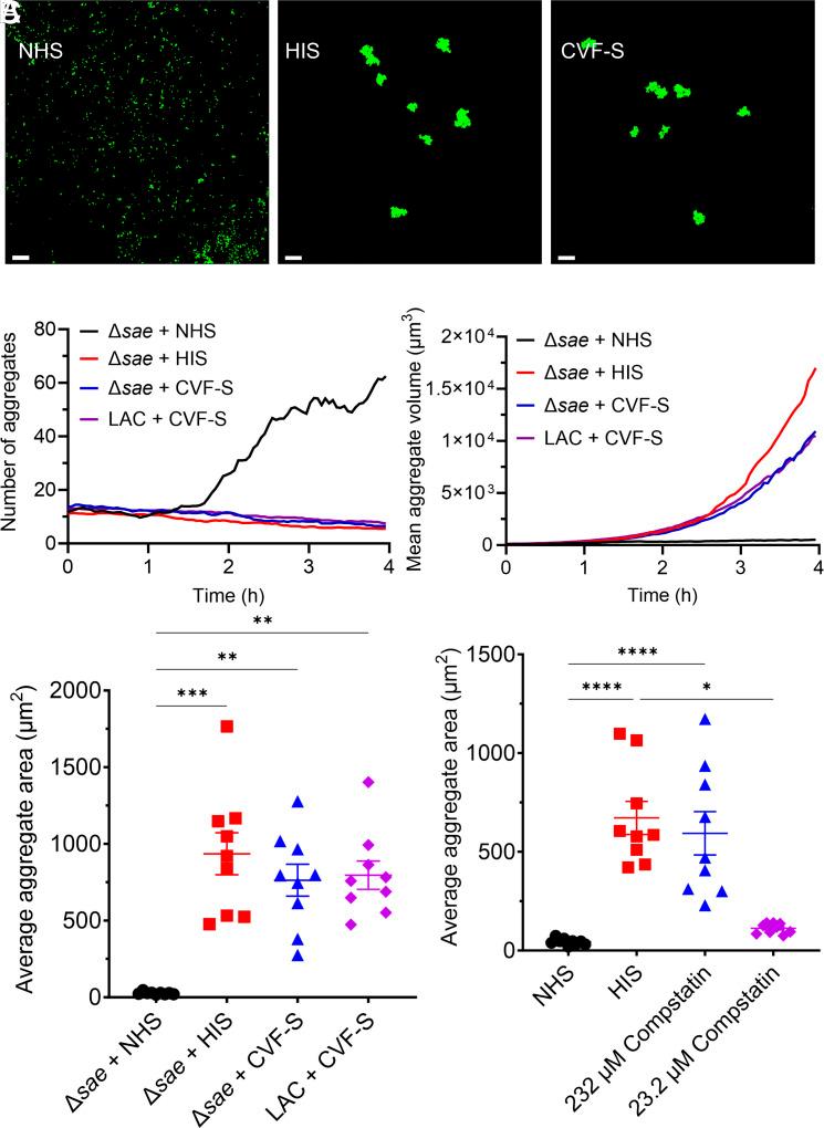 https://cdn.ncbi.nlm.nih.gov/pmc/blobs/4114/12107147/0a8c7345d514/pnas.2412447122fig04.jpg