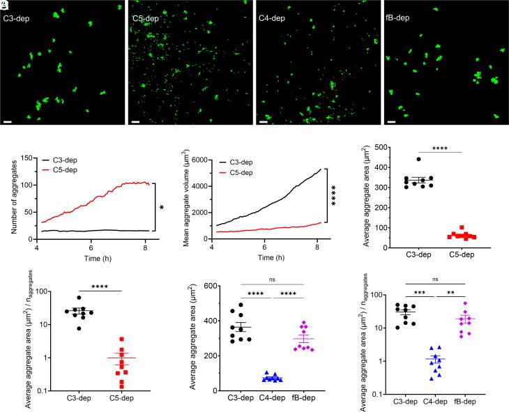 https://cdn.ncbi.nlm.nih.gov/pmc/blobs/4114/12107147/3f94895b7412/pnas.2412447122fig05.jpg