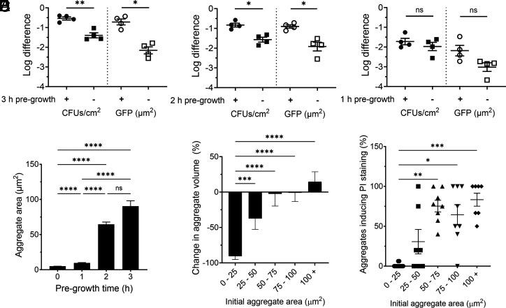 https://cdn.ncbi.nlm.nih.gov/pmc/blobs/4114/12107147/73fc92b07d15/pnas.2412447122fig01.jpg