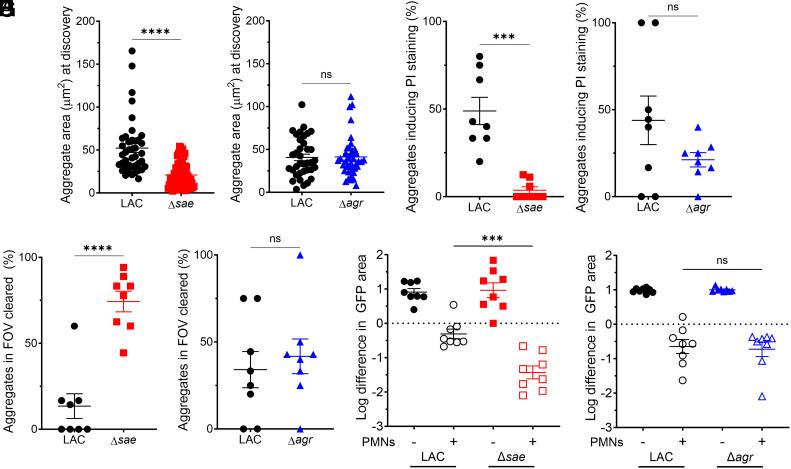 https://cdn.ncbi.nlm.nih.gov/pmc/blobs/4114/12107147/eb7fe37c8082/pnas.2412447122fig03.jpg