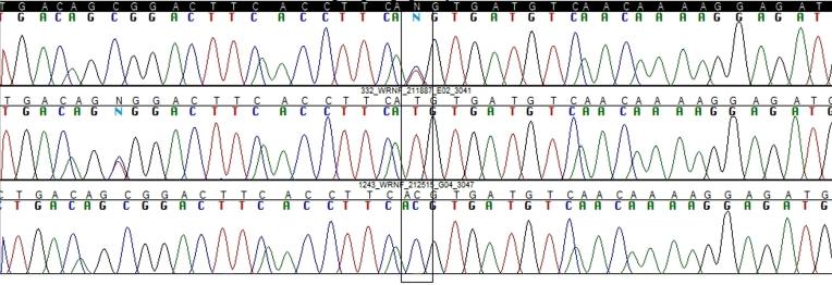 https://cdn.ncbi.nlm.nih.gov/pmc/blobs/4115/2929941/4be46b721716/mv-v16-1771-f1.jpg