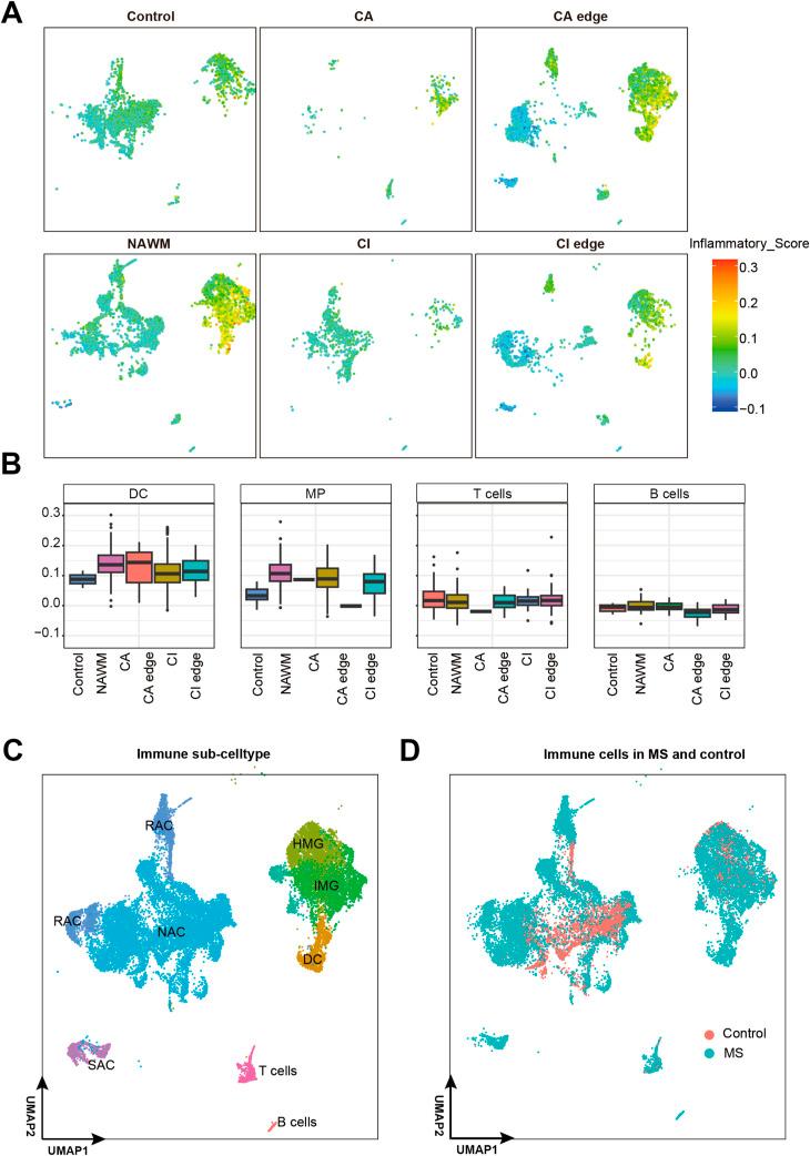 https://cdn.ncbi.nlm.nih.gov/pmc/blobs/4118/12322325/3d066557896d/LSA-2024-03150_FigS4.jpg