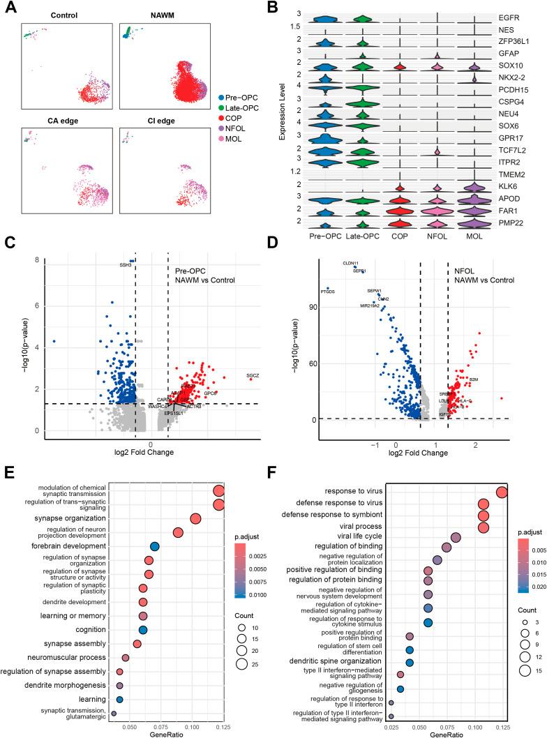 https://cdn.ncbi.nlm.nih.gov/pmc/blobs/4118/12322325/4f67e884a86d/LSA-2024-03150_Fig3.jpg