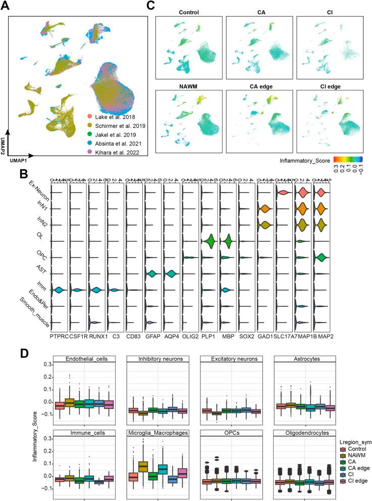 https://cdn.ncbi.nlm.nih.gov/pmc/blobs/4118/12322325/8c29b8fc6946/LSA-2024-03150_FigS1.jpg
