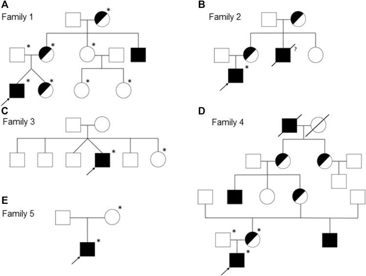 https://cdn.ncbi.nlm.nih.gov/pmc/blobs/4118/9339965/8fe9b44326f6/fgene-13-934395-g001.jpg