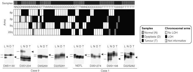 https://cdn.ncbi.nlm.nih.gov/pmc/blobs/4119/2376134/03a1ab3b7804/87-6600490f6.jpg