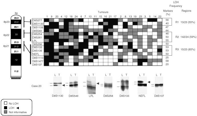 https://cdn.ncbi.nlm.nih.gov/pmc/blobs/4119/2376134/634cb9a0237a/87-6600490f3.jpg