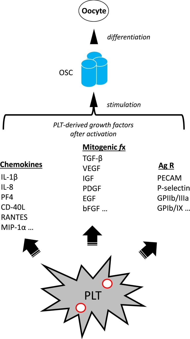 https://cdn.ncbi.nlm.nih.gov/pmc/blobs/4119/6549090/937854bd580c/bsr-39-bsr20190805-g2.jpg