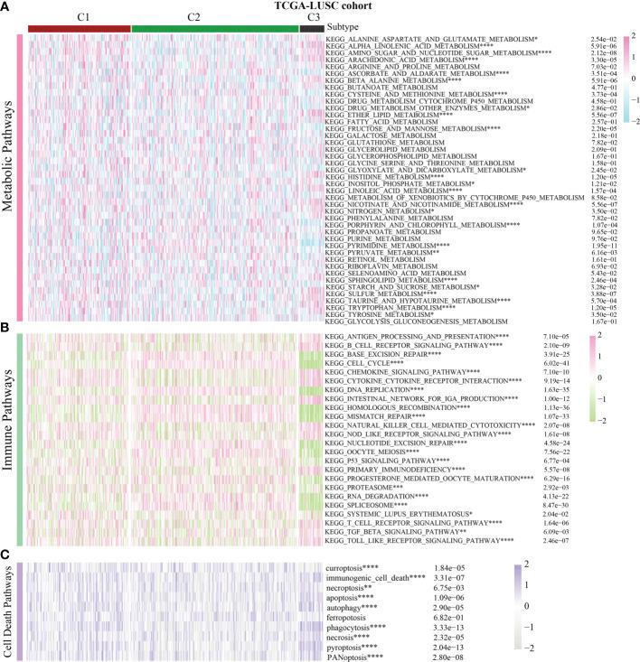 https://cdn.ncbi.nlm.nih.gov/pmc/blobs/411a/10117961/1a7173dd45ac/fendo-14-1147366-g006.jpg