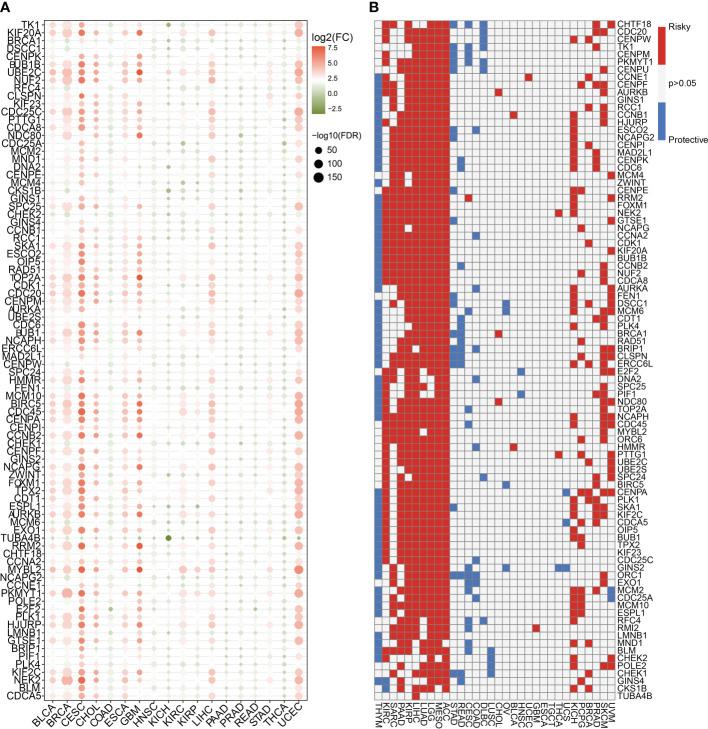 https://cdn.ncbi.nlm.nih.gov/pmc/blobs/411a/10117961/5c78ee8cc9b4/fendo-14-1147366-g001.jpg