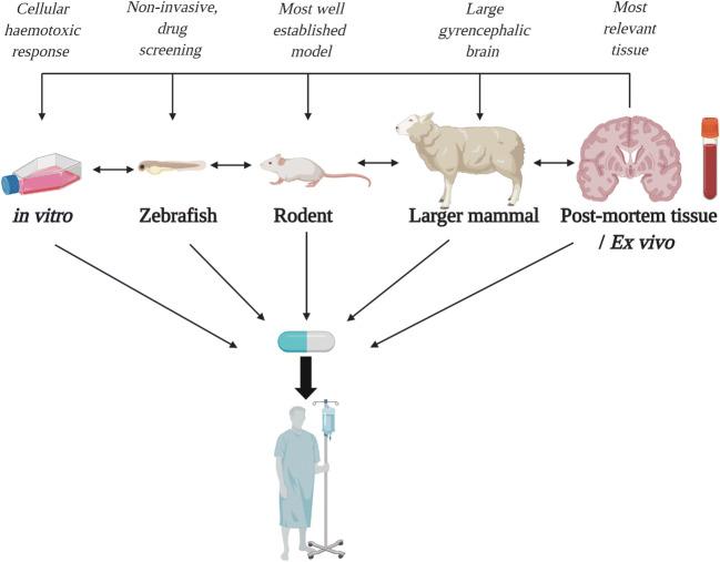 https://cdn.ncbi.nlm.nih.gov/pmc/blobs/411a/7575484/ee4bde12c718/12975_2020_830_Fig2_HTML.jpg
