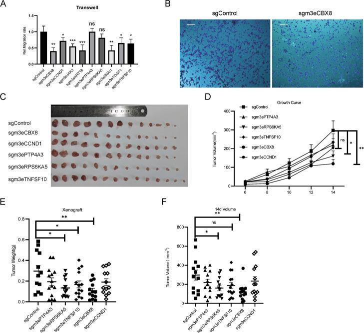 https://cdn.ncbi.nlm.nih.gov/pmc/blobs/411b/10680327/22c8868fae56/13059_2023_3108_Fig4_HTML.jpg
