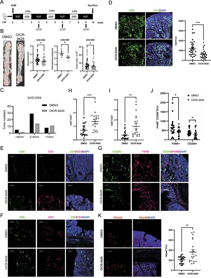 https://cdn.ncbi.nlm.nih.gov/pmc/blobs/411b/10680327/24d88d18cbbb/13059_2023_3108_Fig7_HTML.jpg