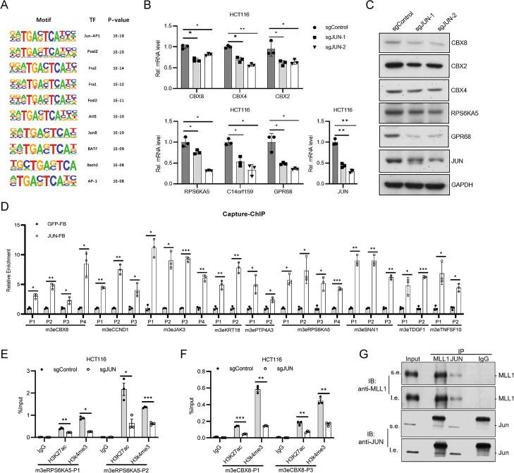 https://cdn.ncbi.nlm.nih.gov/pmc/blobs/411b/10680327/6c55d6ff5832/13059_2023_3108_Fig6_HTML.jpg