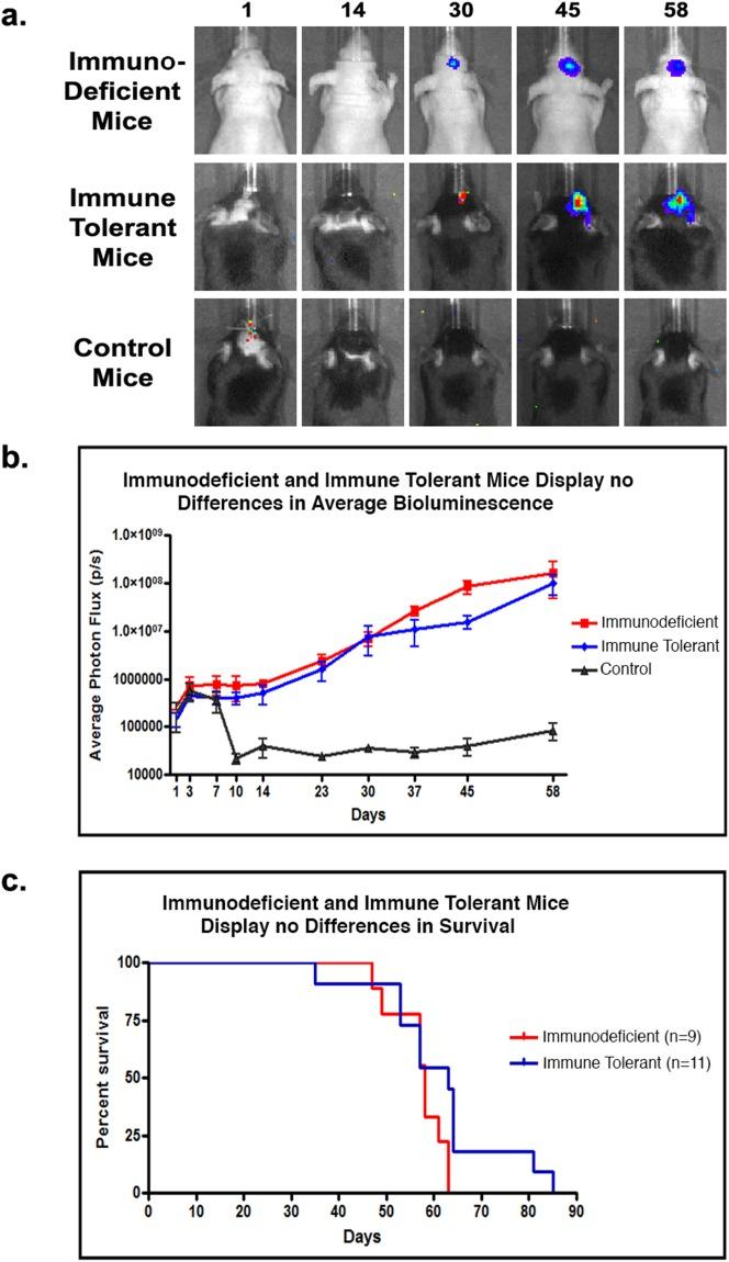 https://cdn.ncbi.nlm.nih.gov/pmc/blobs/411b/5617407/2e28edf1e649/oncotarget-08-61072-g002.jpg