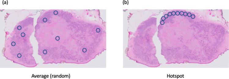 https://cdn.ncbi.nlm.nih.gov/pmc/blobs/411b/8376633/129d0904fc24/41379_2021_825_Fig2_HTML.jpg