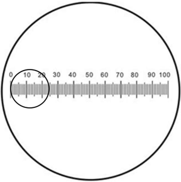 https://cdn.ncbi.nlm.nih.gov/pmc/blobs/411b/8376633/9e5c70572128/41379_2021_825_Fig1_HTML.jpg