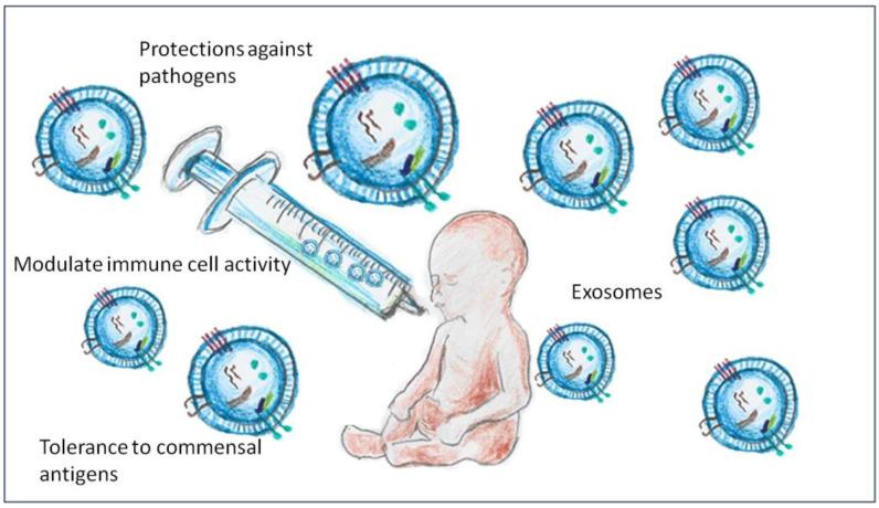 https://cdn.ncbi.nlm.nih.gov/pmc/blobs/411c/11989396/11790bd886bc/ijms-26-03421-g003.jpg