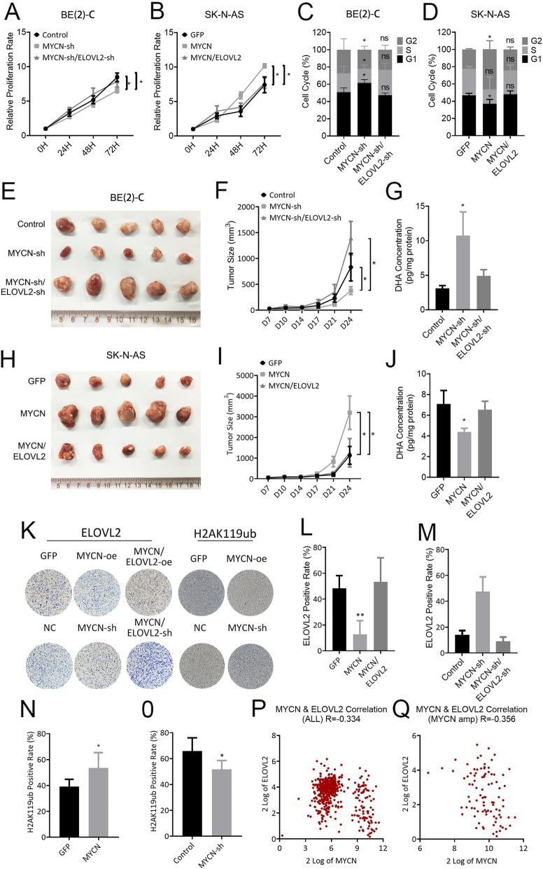 https://cdn.ncbi.nlm.nih.gov/pmc/blobs/411f/6923955/c29680d4b8d2/13046_2019_1492_Fig5_HTML.jpg