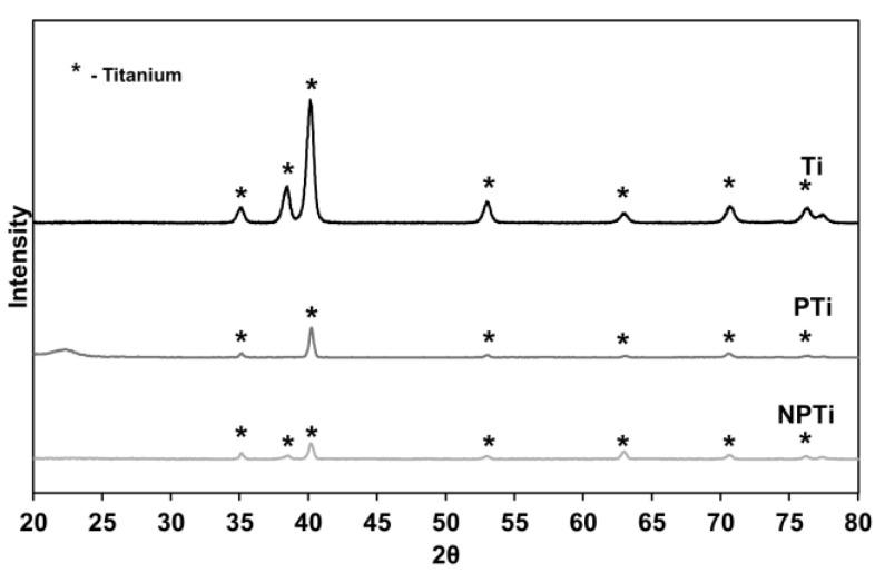 https://cdn.ncbi.nlm.nih.gov/pmc/blobs/4123/11852526/ae57f7ad72d3/biomimetics-10-00115-g003.jpg