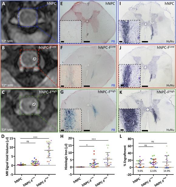https://cdn.ncbi.nlm.nih.gov/pmc/blobs/4123/5442757/58a95c552914/SCT3-6-139-g005.jpg