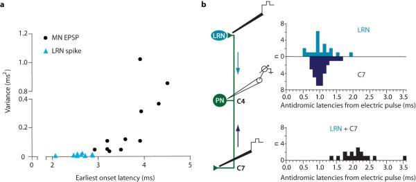 https://cdn.ncbi.nlm.nih.gov/pmc/blobs/4126/4230338/3f36aaf7979e/nihms-555954-f0013.jpg