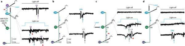 https://cdn.ncbi.nlm.nih.gov/pmc/blobs/4126/4230338/ede279c21ca6/nihms-555954-f0005.jpg