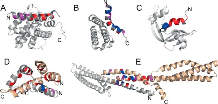 https://cdn.ncbi.nlm.nih.gov/pmc/blobs/4128/4807256/e72d9441b6aa/zbc0121640610004.jpg