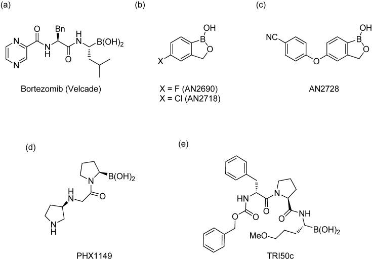 https://cdn.ncbi.nlm.nih.gov/pmc/blobs/4128/6270651/d67eb21cee67/molecules-18-09488-g001.jpg