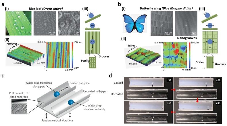 https://cdn.ncbi.nlm.nih.gov/pmc/blobs/412c/5456462/4285ded85aa4/materials-09-00116-g004.jpg