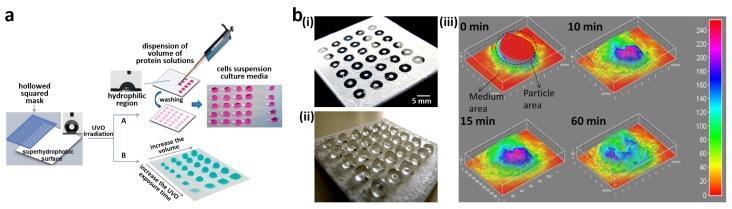 https://cdn.ncbi.nlm.nih.gov/pmc/blobs/412c/5456462/e208f9fa77b2/materials-09-00116-g012.jpg