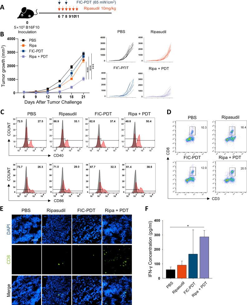 https://cdn.ncbi.nlm.nih.gov/pmc/blobs/412c/7825261/314a007224dd/jitc-2020-001481f03.jpg