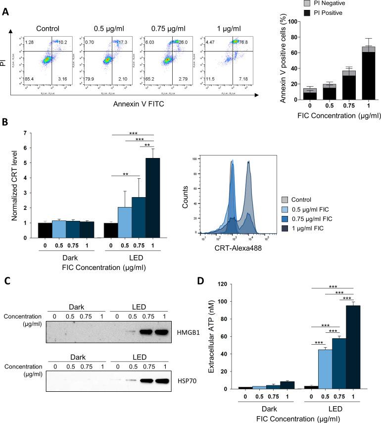 https://cdn.ncbi.nlm.nih.gov/pmc/blobs/412c/7825261/cbea1ace0e95/jitc-2020-001481f01.jpg