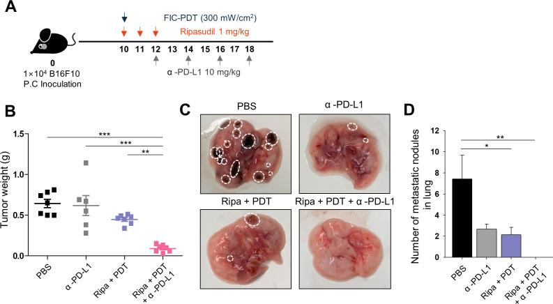 https://cdn.ncbi.nlm.nih.gov/pmc/blobs/412c/7825261/e3402a446418/jitc-2020-001481f06.jpg