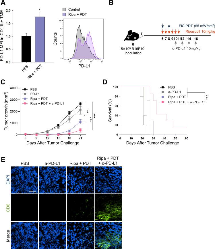 https://cdn.ncbi.nlm.nih.gov/pmc/blobs/412c/7825261/e6b1c42b6de0/jitc-2020-001481f04.jpg