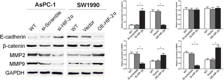 https://cdn.ncbi.nlm.nih.gov/pmc/blobs/4132/4741030/ff2cabde61c7/13046_2016_298_Fig4_HTML.jpg