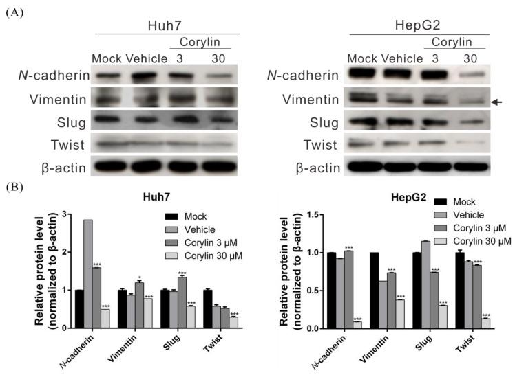 https://cdn.ncbi.nlm.nih.gov/pmc/blobs/4132/5855602/2709678bbbdd/ijms-19-00380-g002.jpg