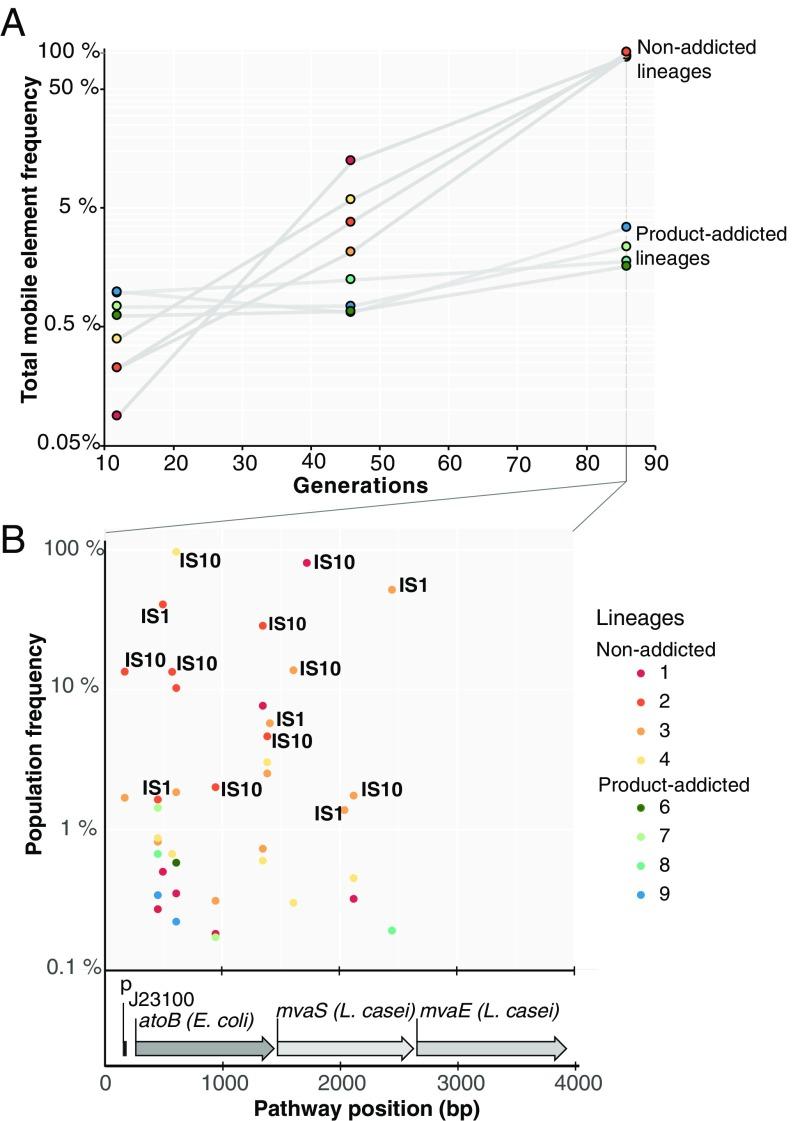 https://cdn.ncbi.nlm.nih.gov/pmc/blobs/4132/5877936/e71259147aaf/pnas.1718622115fig04.jpg
