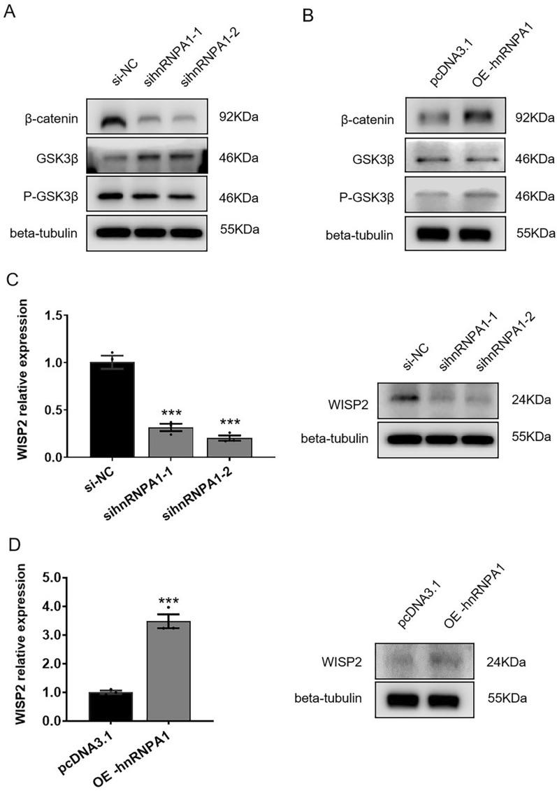 https://cdn.ncbi.nlm.nih.gov/pmc/blobs/4133/11413309/5c3590a2e438/12672_2024_1354_Fig3_HTML.jpg