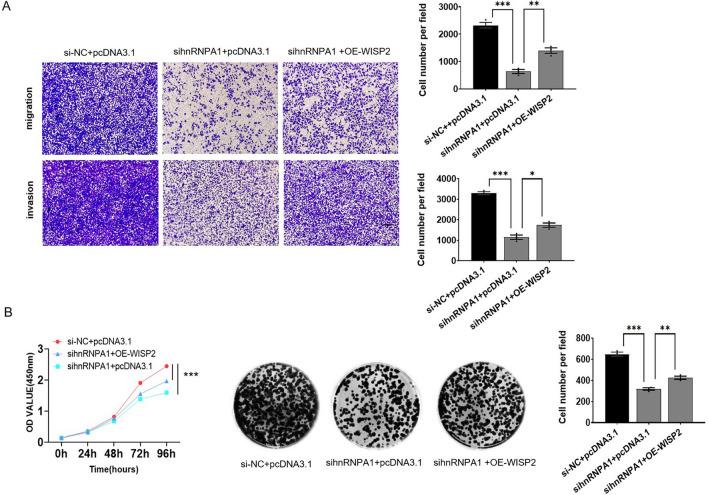 https://cdn.ncbi.nlm.nih.gov/pmc/blobs/4133/11413309/7ce1412a3655/12672_2024_1354_Fig5_HTML.jpg