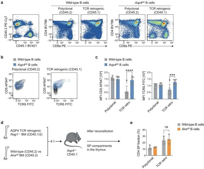 https://cdn.ncbi.nlm.nih.gov/pmc/blobs/4134/10937377/2f940fa18392/41586_2024_7079_Fig12_ESM.jpg