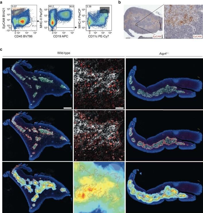 https://cdn.ncbi.nlm.nih.gov/pmc/blobs/4134/10937377/57b3c7c44c5b/41586_2024_7079_Fig6_ESM.jpg