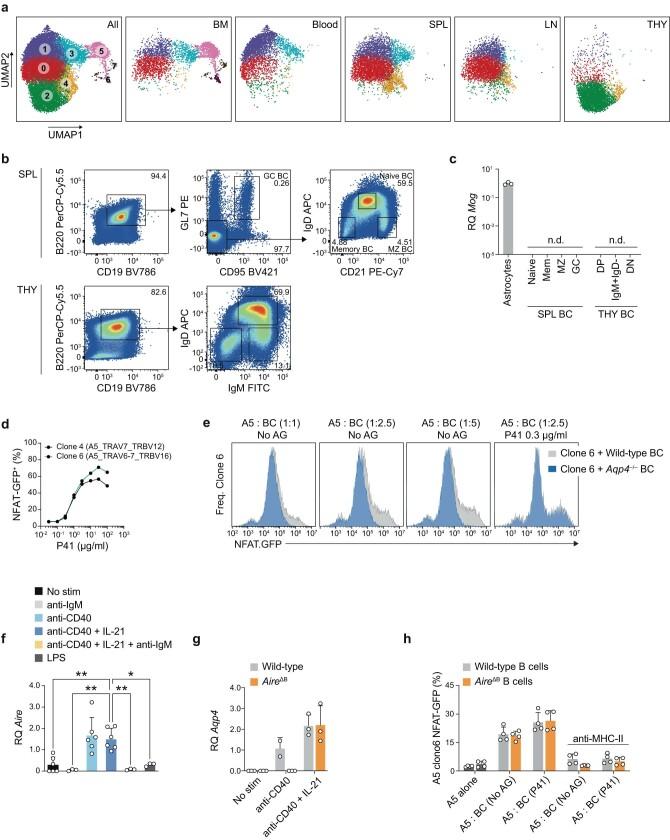 https://cdn.ncbi.nlm.nih.gov/pmc/blobs/4134/10937377/5e50bf36b7db/41586_2024_7079_Fig9_ESM.jpg