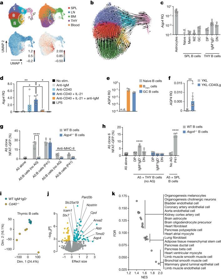 https://cdn.ncbi.nlm.nih.gov/pmc/blobs/4134/10937377/93b6068f4a6b/41586_2024_7079_Fig3_HTML.jpg