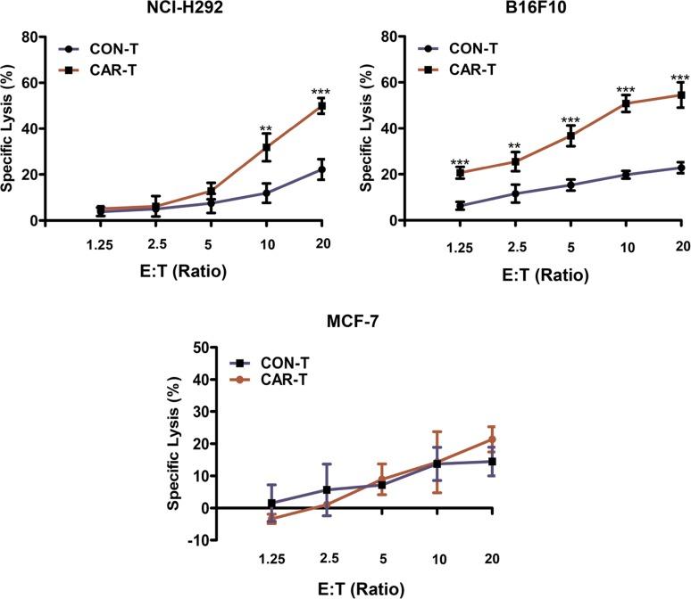 https://cdn.ncbi.nlm.nih.gov/pmc/blobs/4136/5354747/085c675c1695/oncotarget-08-9488-g004.jpg
