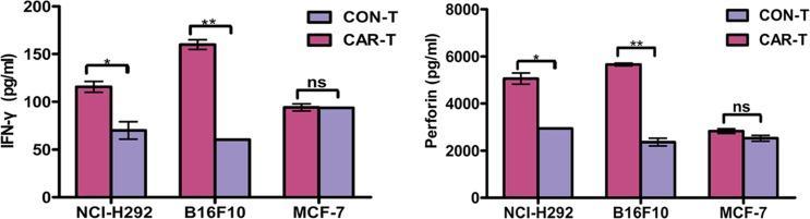https://cdn.ncbi.nlm.nih.gov/pmc/blobs/4136/5354747/3b48e2514d80/oncotarget-08-9488-g003.jpg