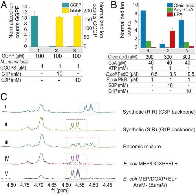 https://cdn.ncbi.nlm.nih.gov/pmc/blobs/4137/5889666/a0604c56ec0e/pnas.1721604115fig02.jpg