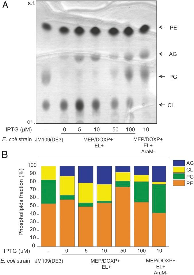 https://cdn.ncbi.nlm.nih.gov/pmc/blobs/4137/5889666/dc3b86b431f4/pnas.1721604115fig01.jpg