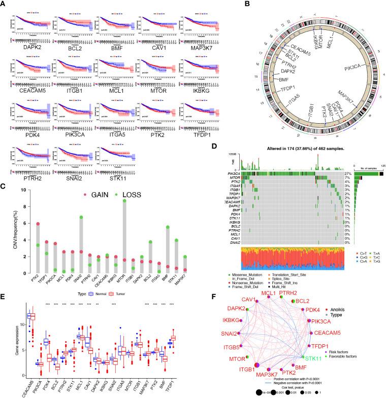 https://cdn.ncbi.nlm.nih.gov/pmc/blobs/4139/11109372/608283701fa1/fimmu-15-1378305-g001.jpg