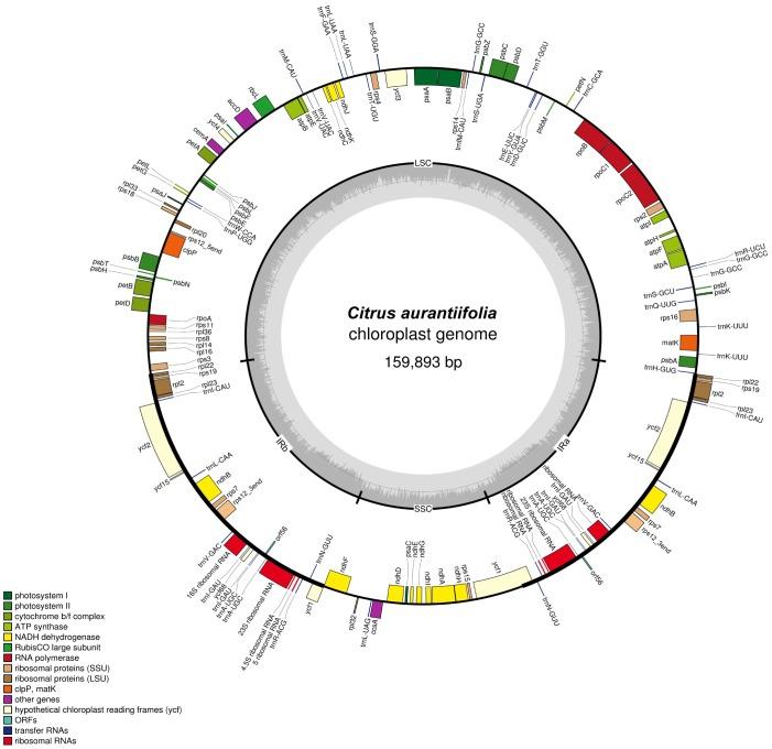 https://cdn.ncbi.nlm.nih.gov/pmc/blobs/4139/4232571/2c8e94634c78/pone.0113049.g001.jpg